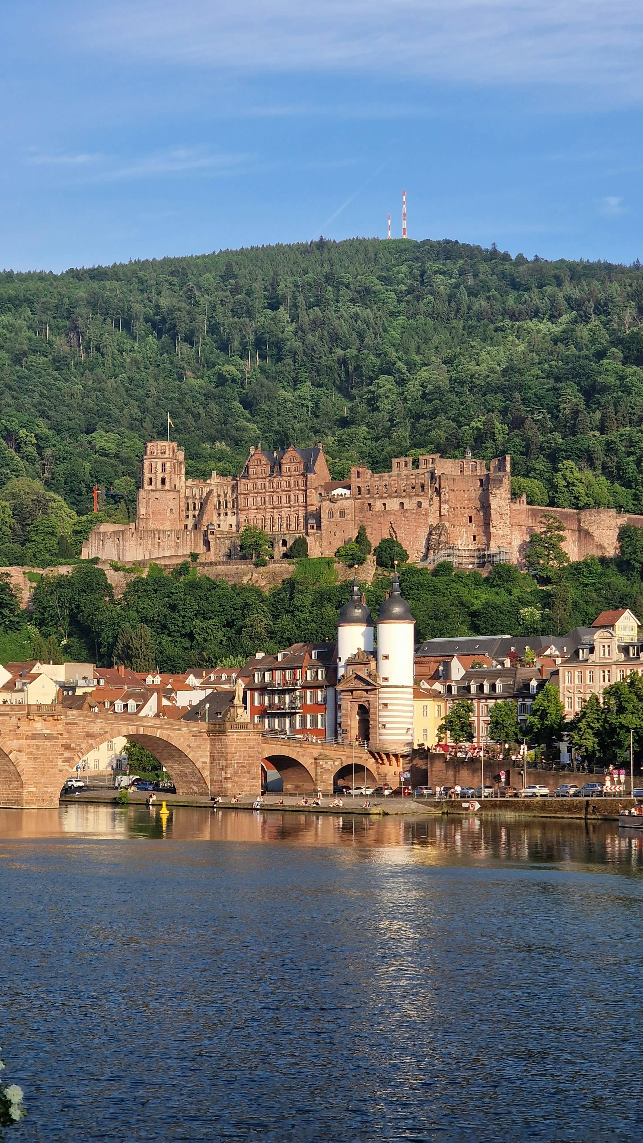 Die Alte Brücke mit dem weißen Brückentor, darüber das Heidelberger Schloss vor dem bewaldeten Königstuhl