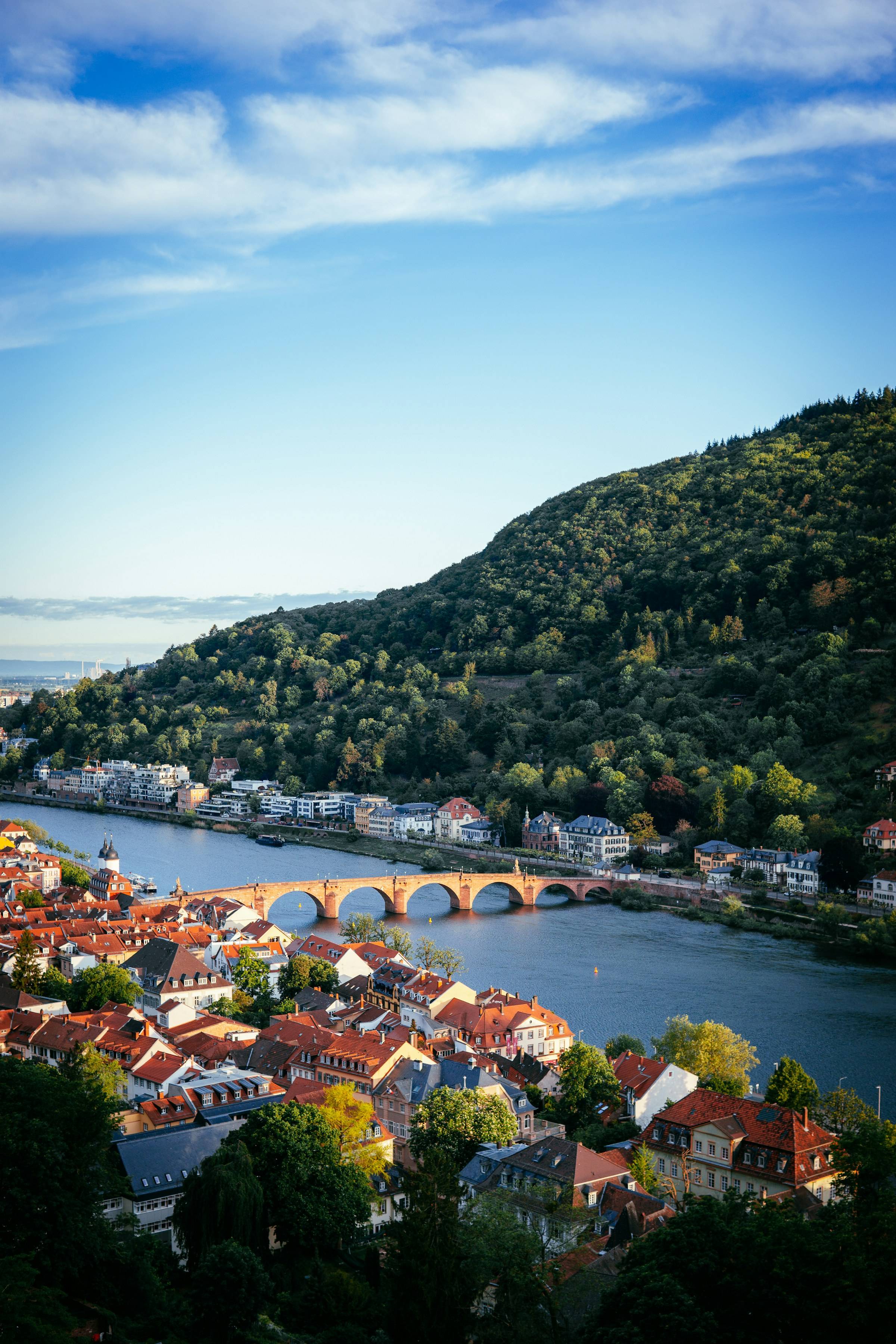 Blick von oben auf den Neckar mit der Alten Brücke, den Dächern der Heidelberger Altstadt und dem bewaldeten Heiligenberg